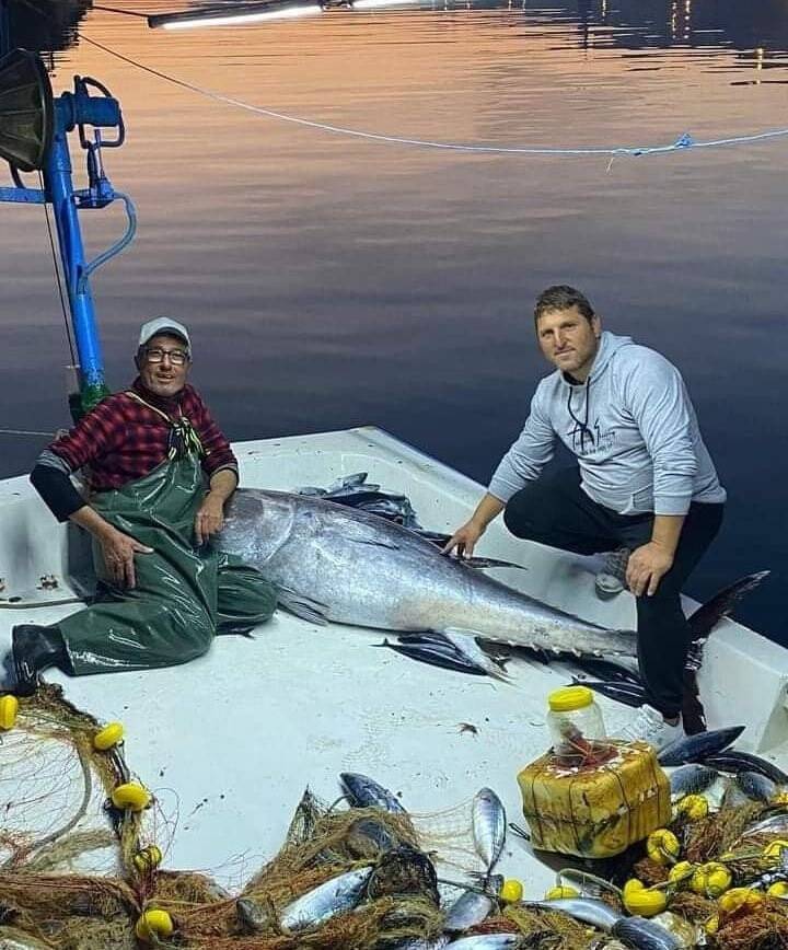 Palamudun peşine düşen orkinos balıkçıların ağına takıldı