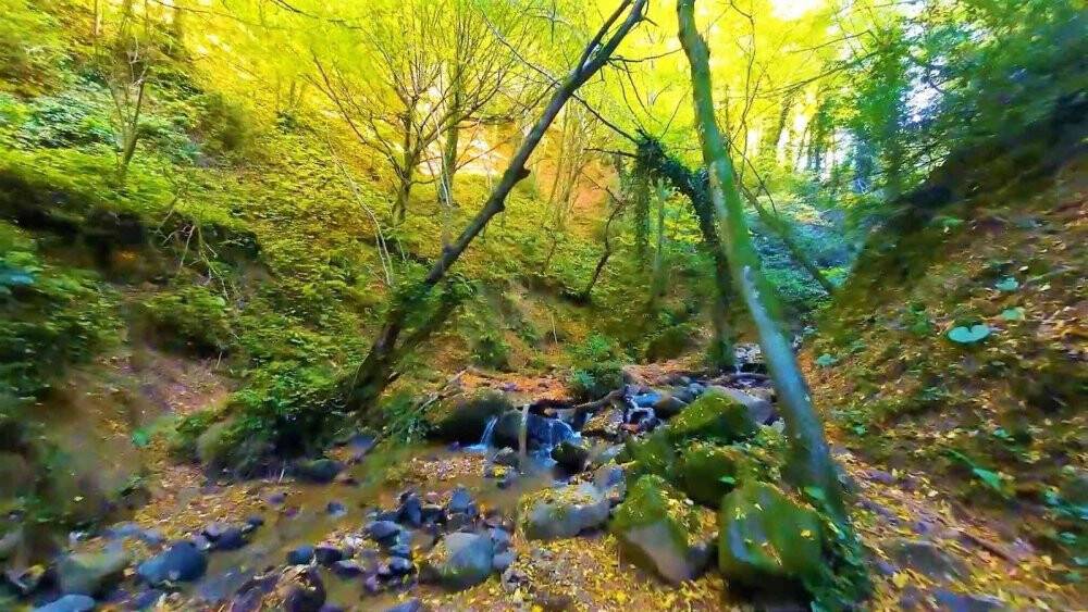 Sonbaharın renkleri ile şelale birleşti, manzara büyüledi