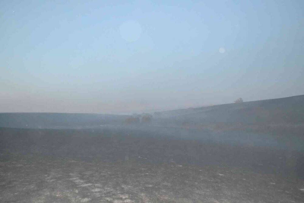 Tekirdağ’da 700 dönüm anız alevlere teslim oldu