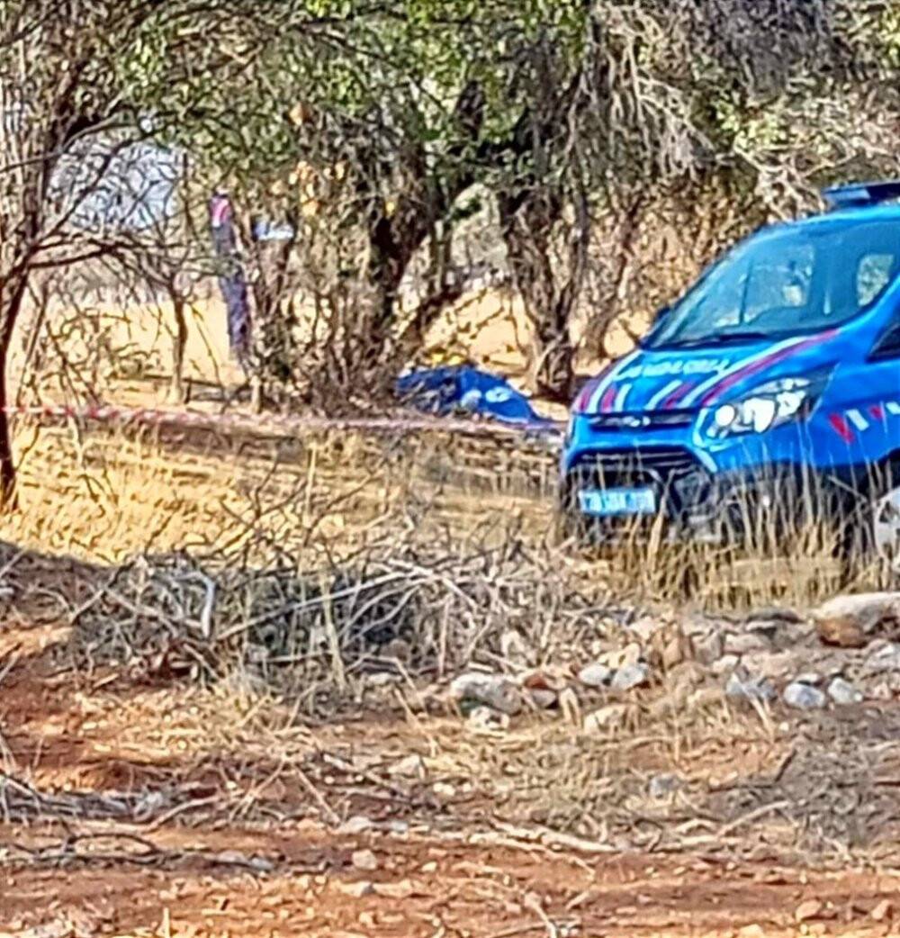 Ağaçtan düşen yaşlı adam yaşamını yitirdi