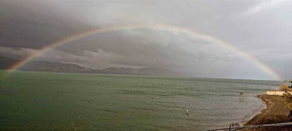 Gören hayran kaldı