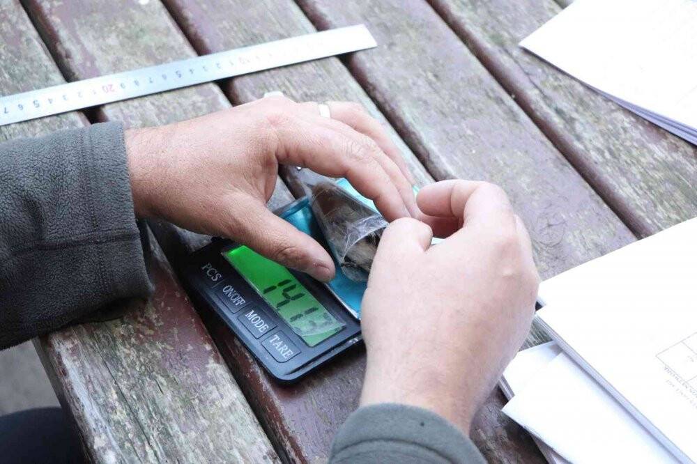 Kuş Cenneti’nde 170 bin kuş halkalandı