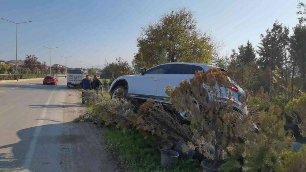 Cip ağaç fidanlarının üzerinde askıda kaldı