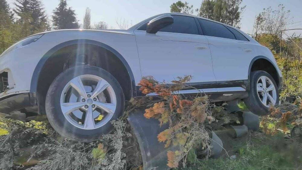 Cip ağaç fidanlarının üzerinde askıda kaldı