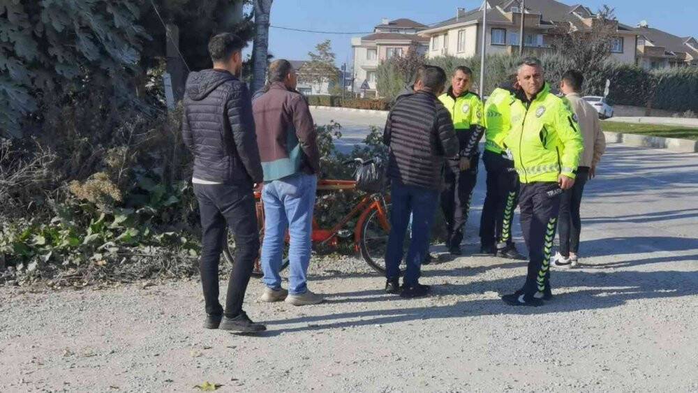 Cip ağaç fidanlarının üzerinde askıda kaldı