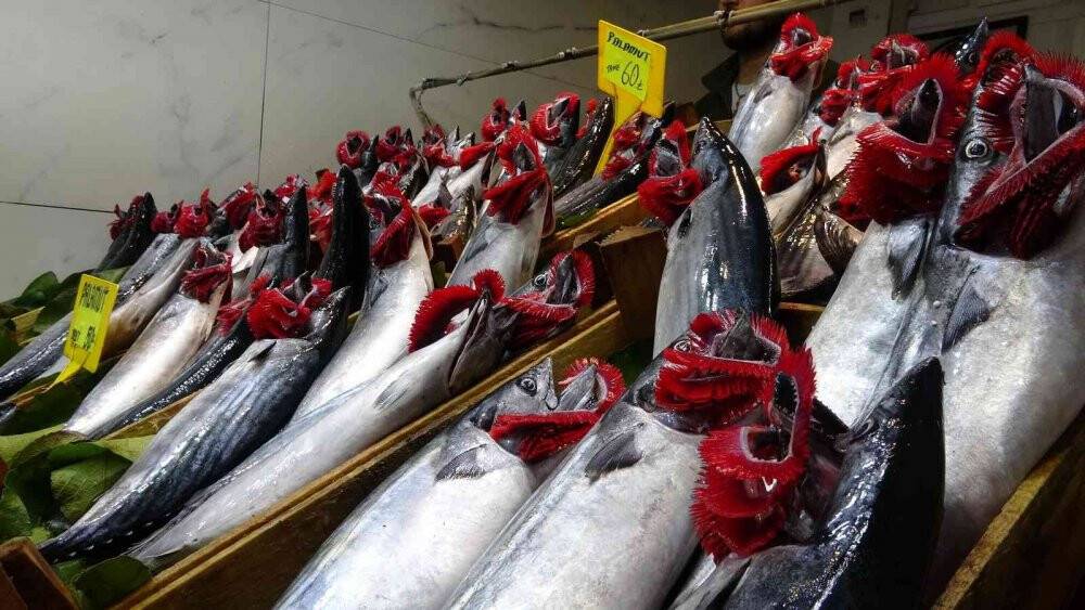 Palamudun bolluğu hamsinin kıtlığı