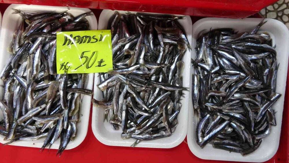 Palamudun bolluğu hamsinin kıtlığı