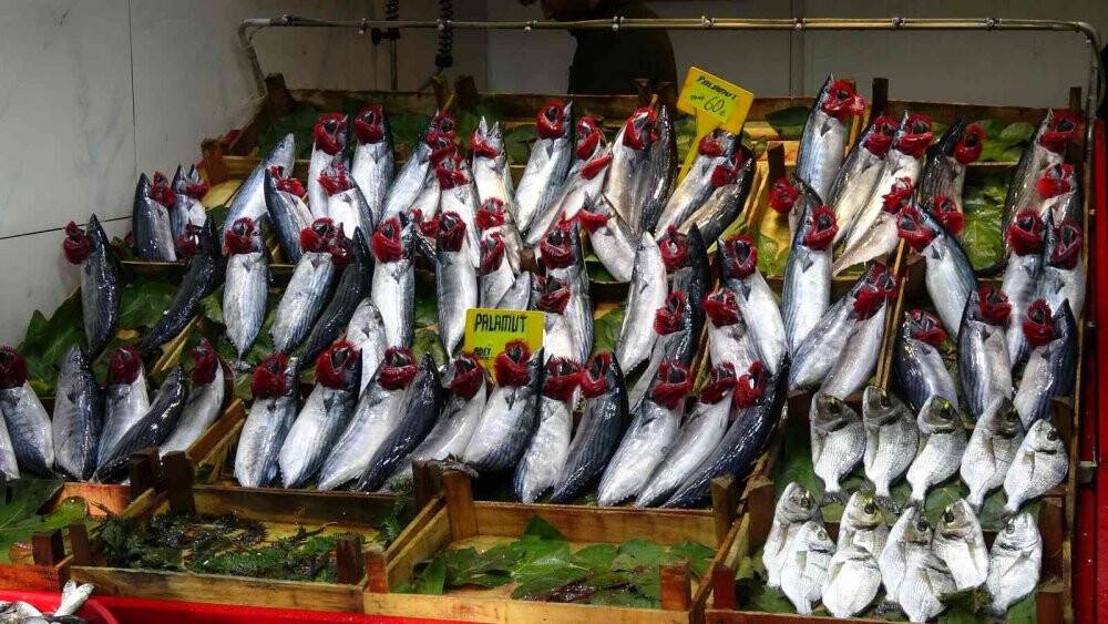 Palamudun bolluğu hamsinin kıtlığı