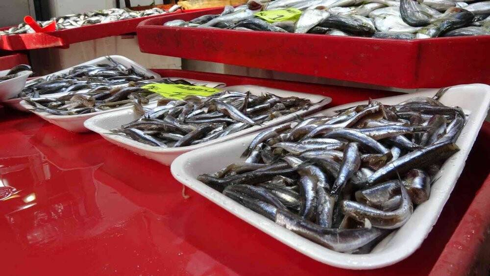 Palamudun bolluğu hamsinin kıtlığı