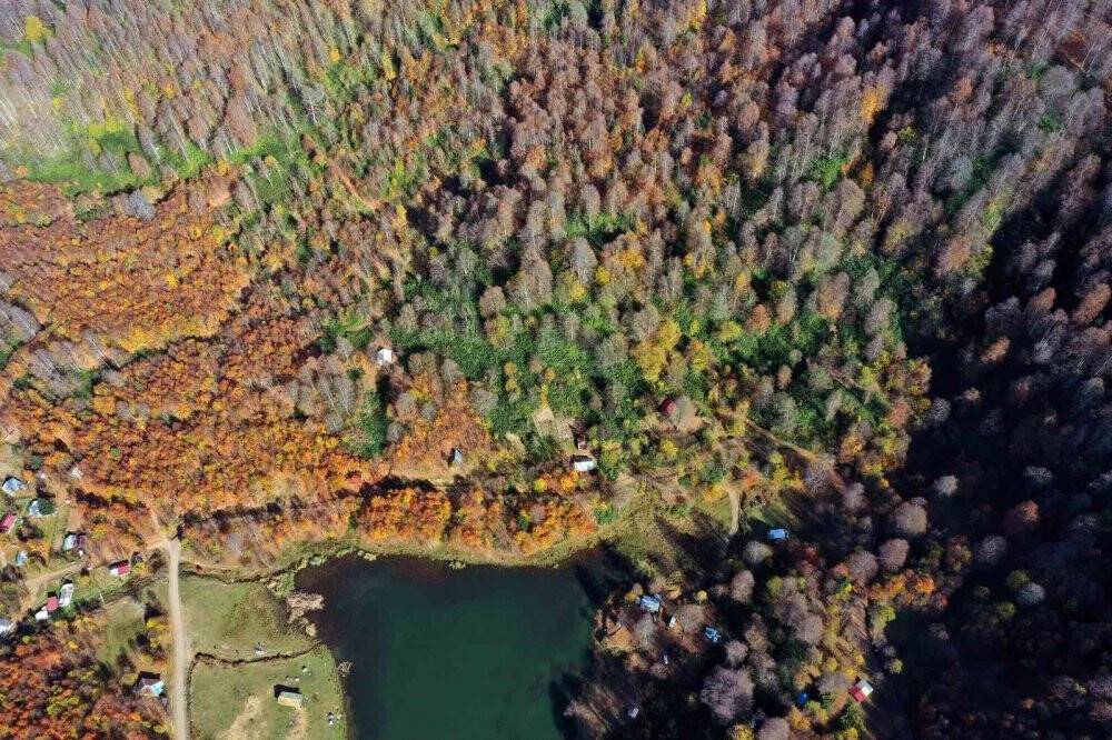 Sonbaharda muhteşem renk cümbüşü