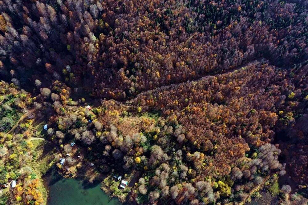 Sonbaharda muhteşem renk cümbüşü
