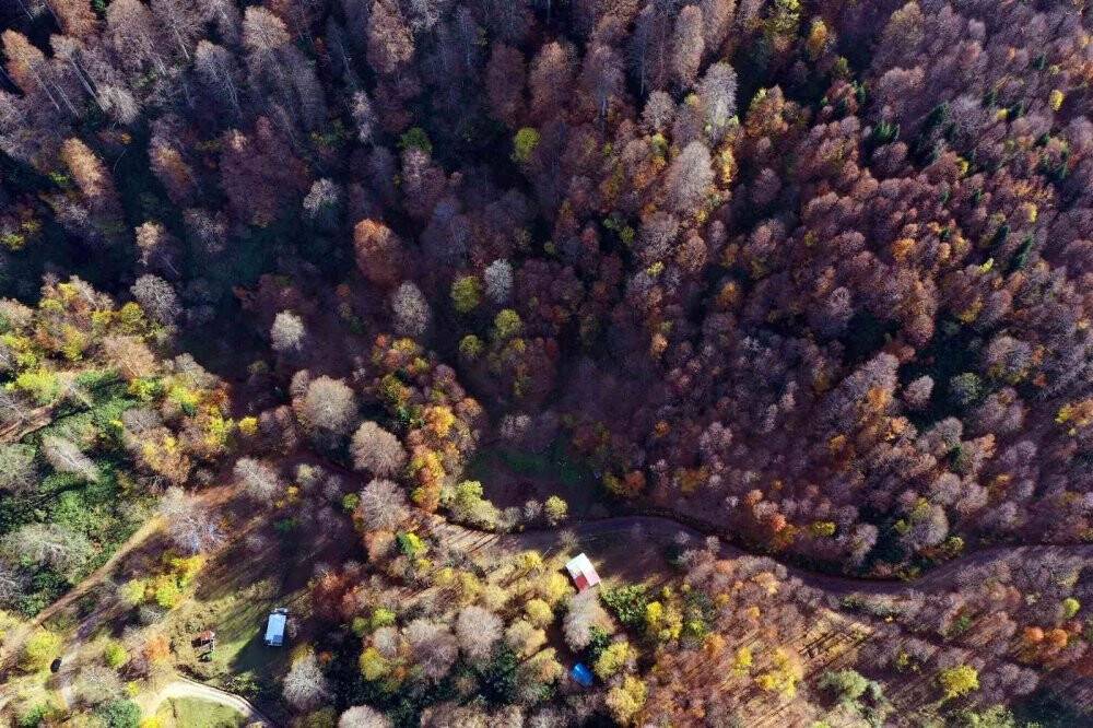 Sonbaharda muhteşem renk cümbüşü