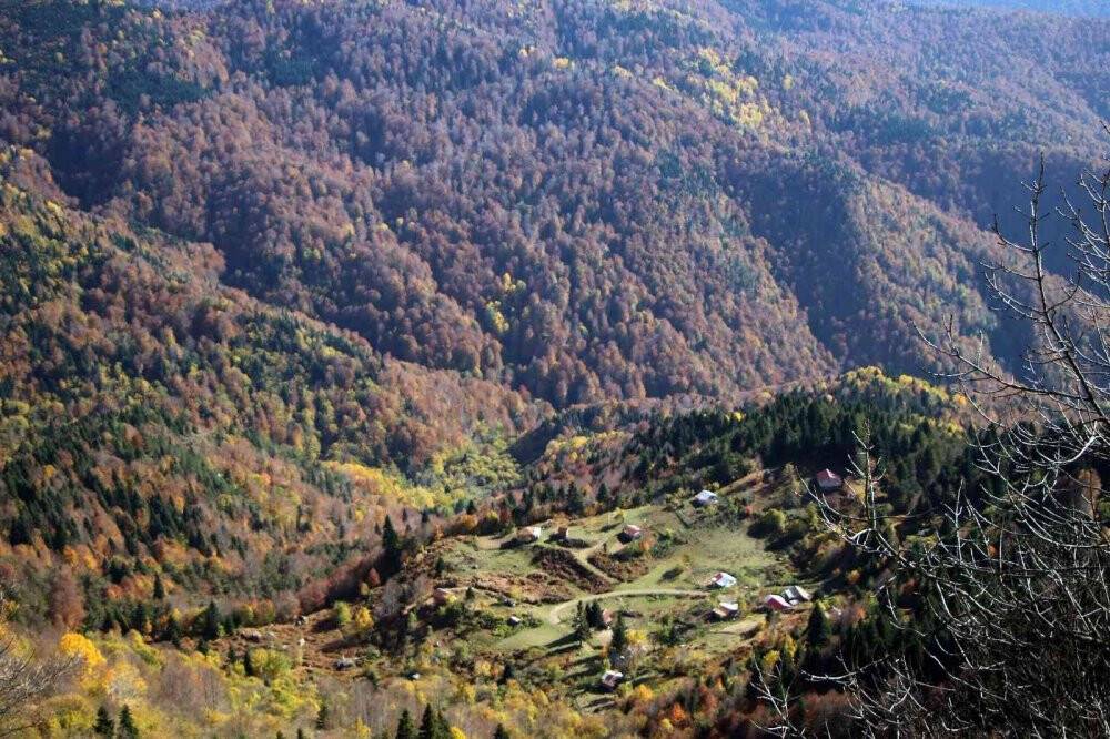 Sonbaharda muhteşem renk cümbüşü