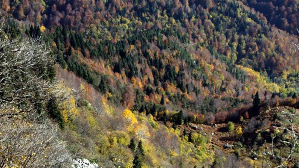 Sonbaharda muhteşem renk cümbüşü