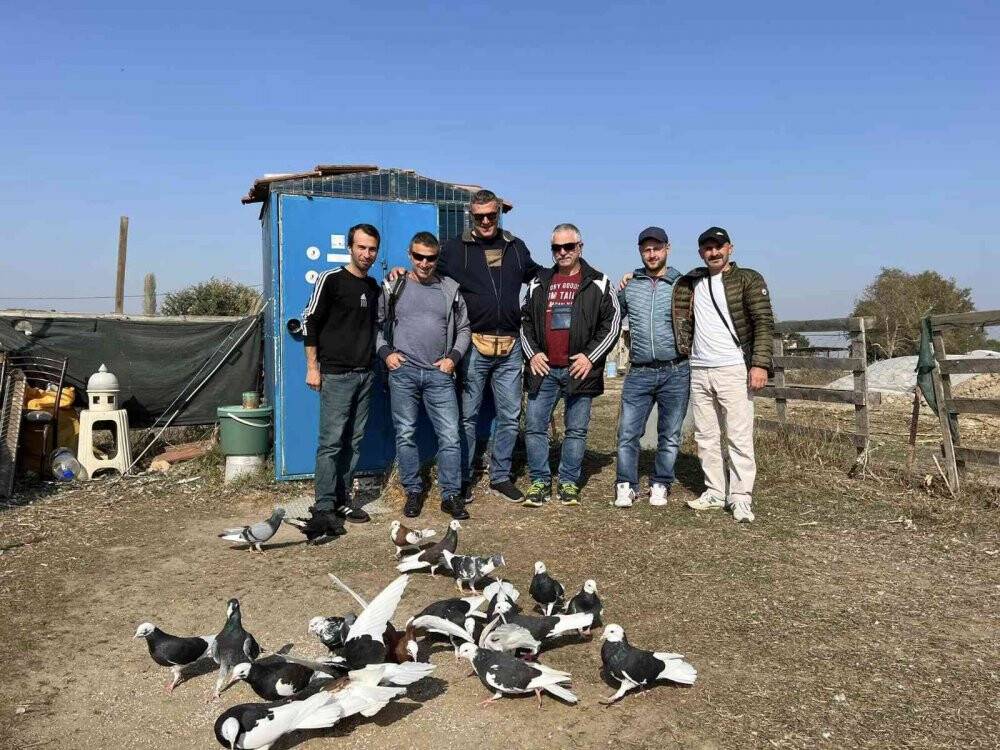 Güvercinlerin performansı tam not aldı