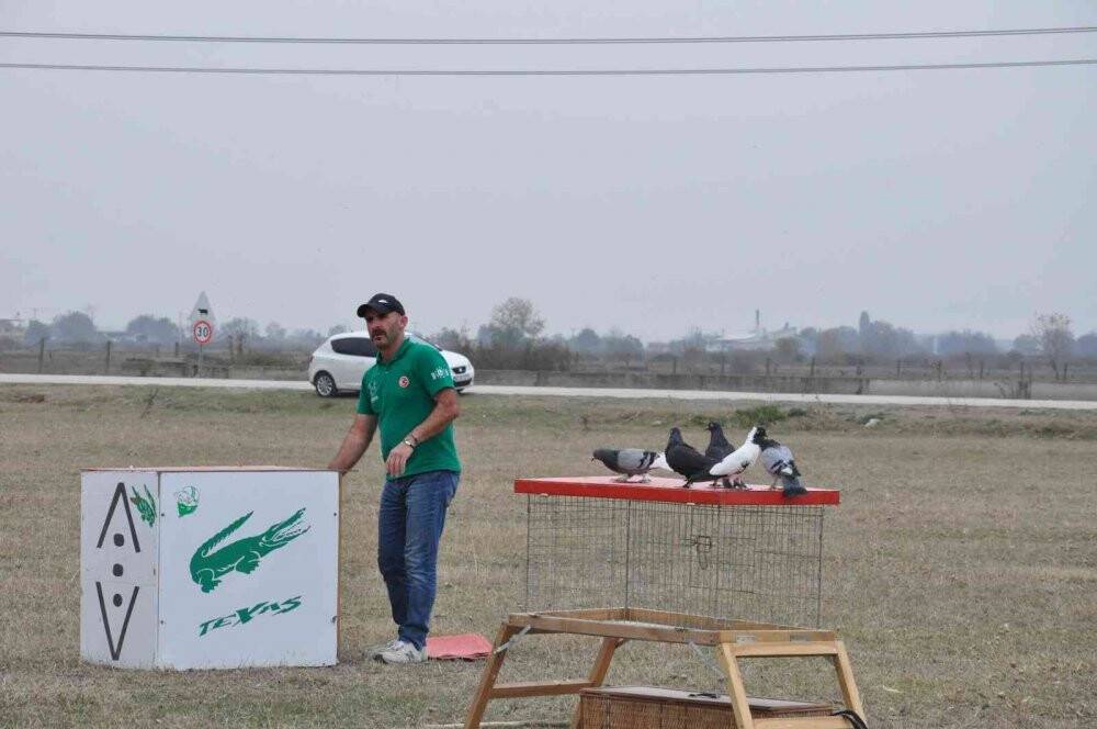 Güvercinlerin performansı tam not aldı