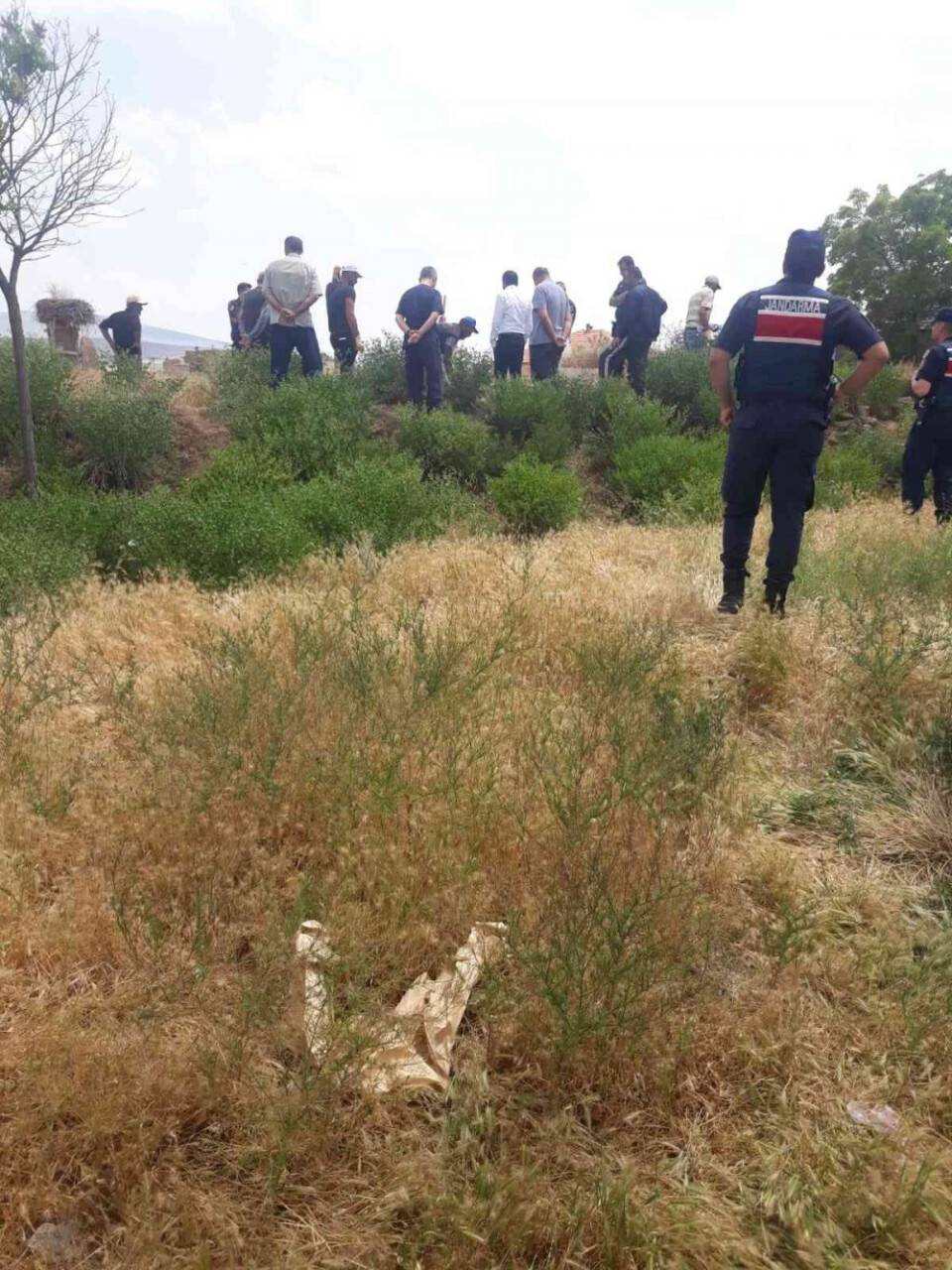 Dedektif gibi iz sürdü, kaybolan  babasının öldürüldükten sonra yakıldığını öğrendi