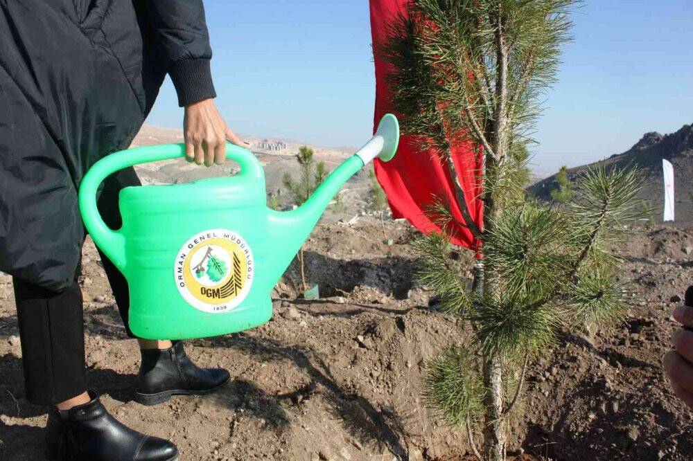 Konya’da ’Türkiye Yüzyılına Nefes’ için 70 bin fidan toprakla buluştu