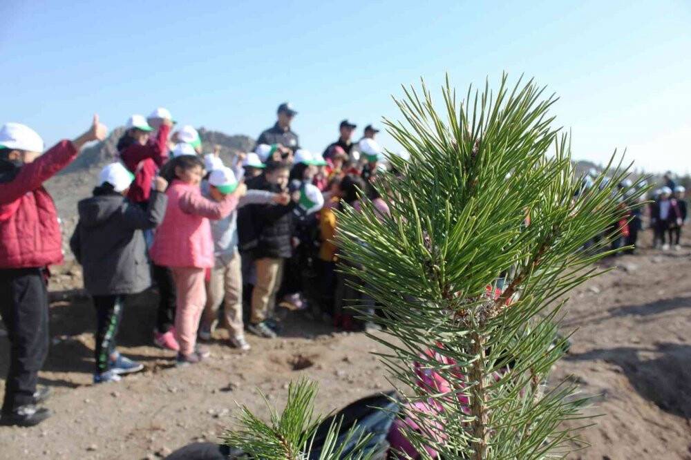 Konya’da ’Türkiye Yüzyılına Nefes’ için 70 bin fidan toprakla buluştu