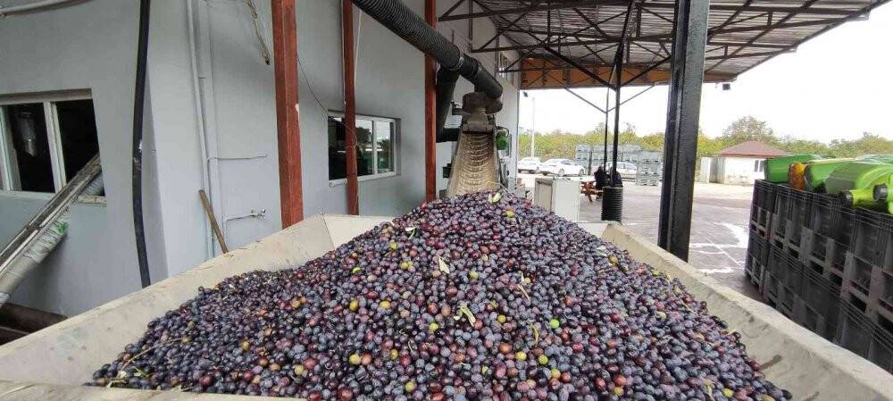 Üretimin yarısı ihracata gidiyor