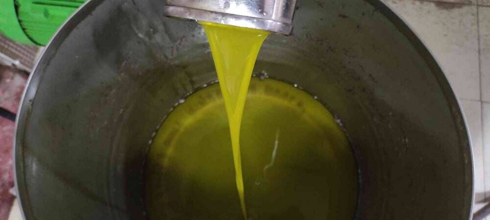 Üretimin yarısı ihracata gidiyor