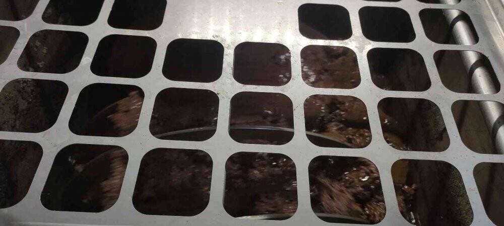 Üretimin yarısı ihracata gidiyor