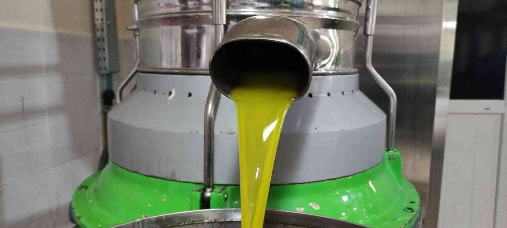 Üretimin yarısı ihracata gidiyor