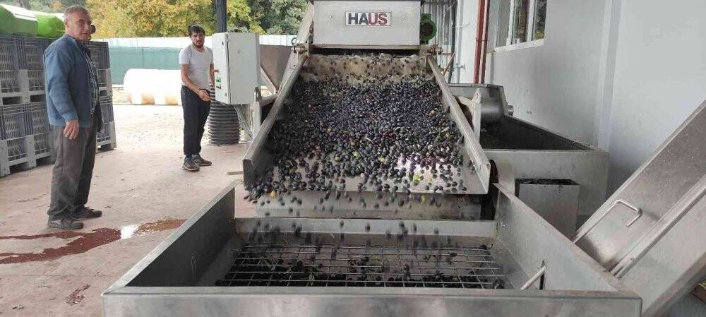 Üretimin yarısı ihracata gidiyor