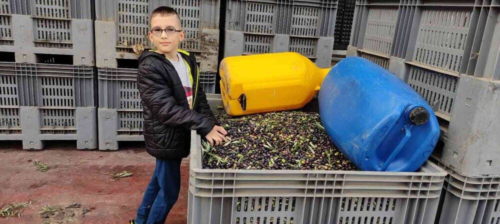 Üretimin yarısı ihracata gidiyor