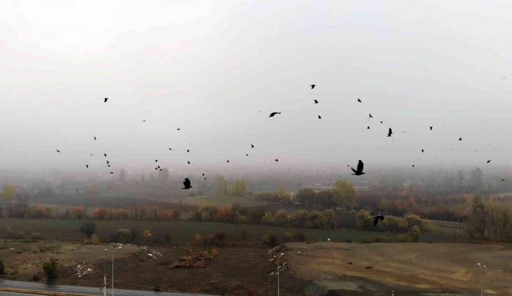 Doğu bölgesinde sis ve pus etkili oldu