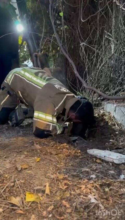 Kuzu için yolu kazdılar