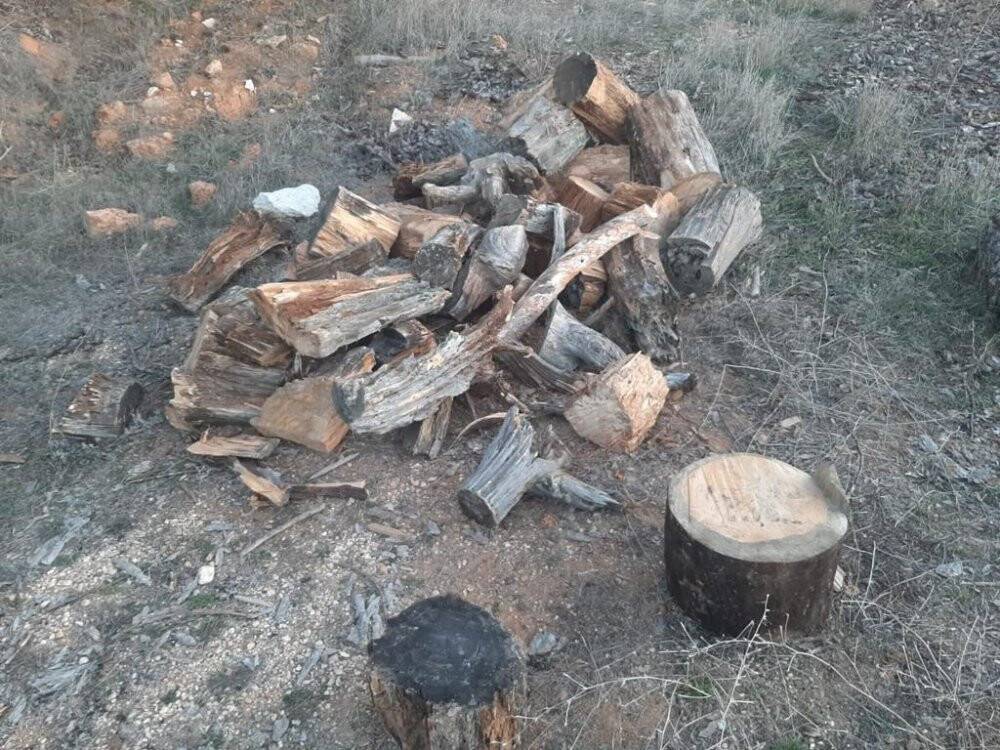 Ormanda kaçak odun kesen kişi yakalandı