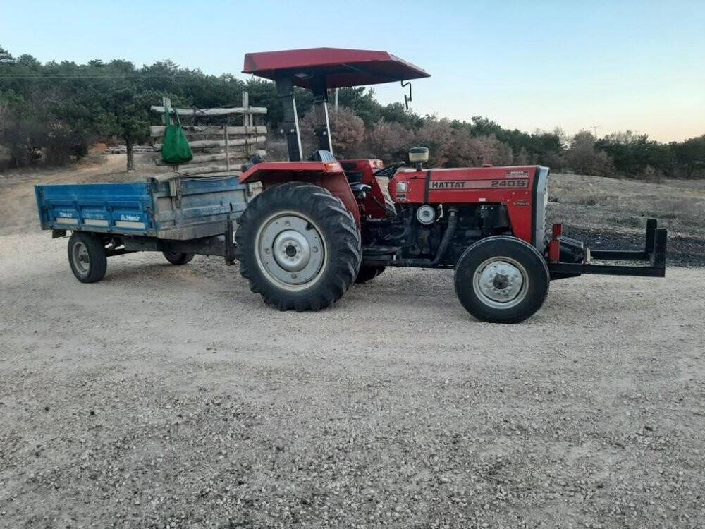 Ormanda kaçak odun kesen kişi yakalandı