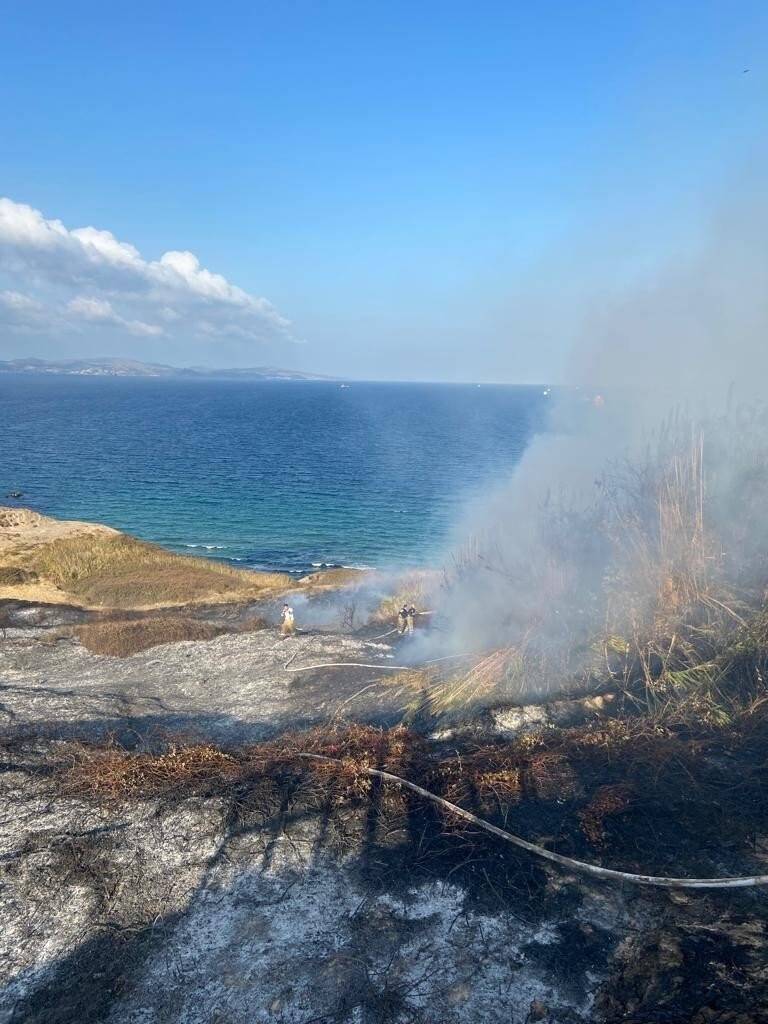 Sazlık yangınında  8 kaplumbağa ile 1 yavru köpek kurtarıldı