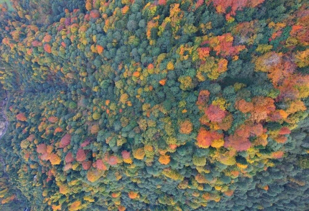 Trabzon’da kartpostallık  görüntüler