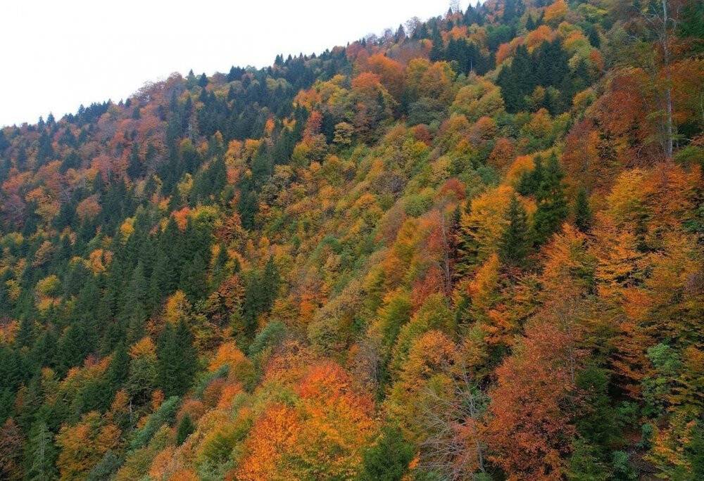 Trabzon’da kartpostallık  görüntüler