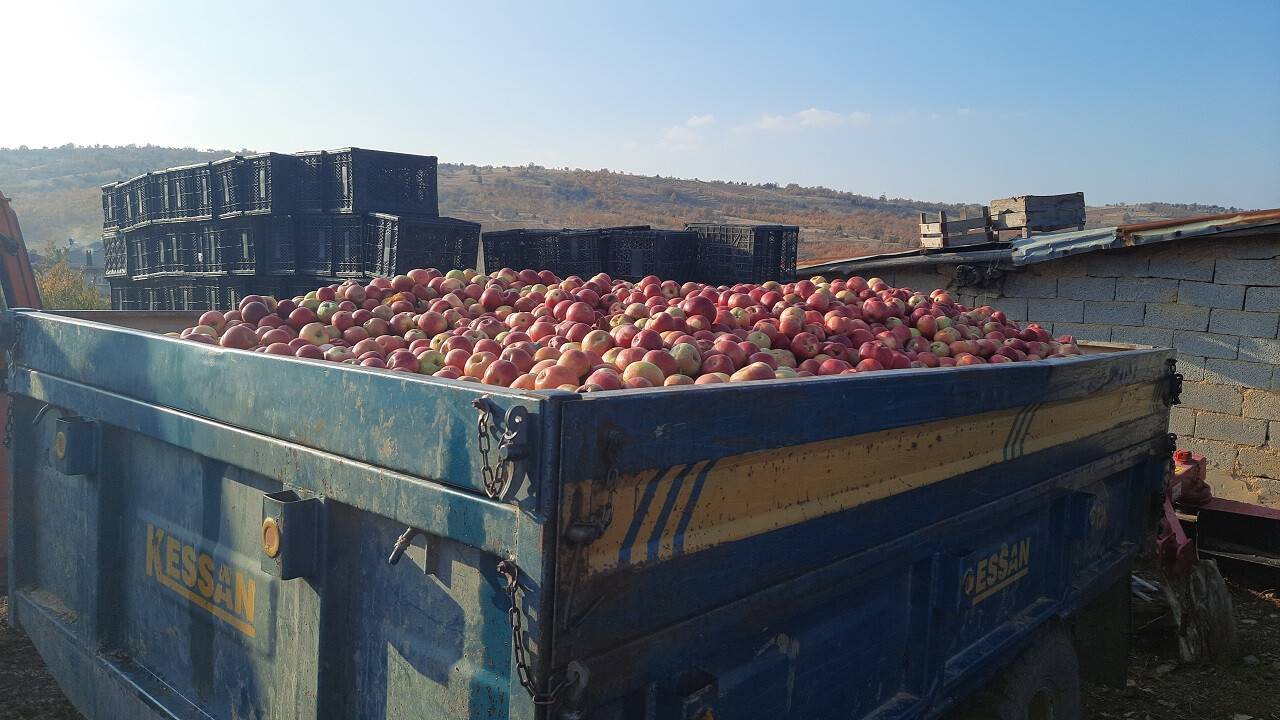 aa-20221114-29438727-29438722-bozkirda-elma-mesaisi-suruyor.jpg