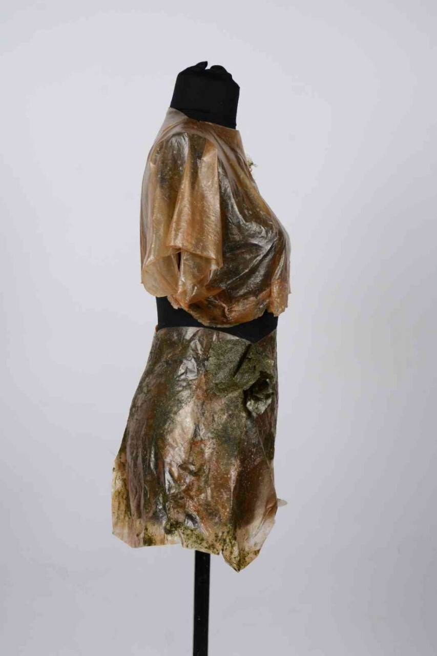 Bu kıyafetler bakterilerden üretiliyor