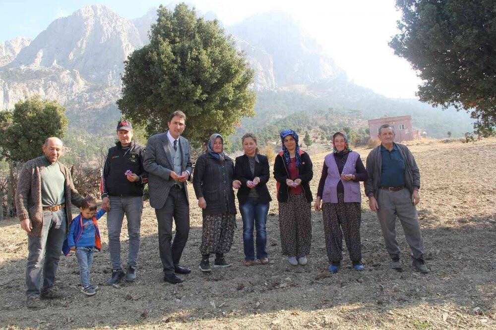 Kilosu 100 bin liradan satılıyor, 80 bin çiçekten yarım kilo üretiliyor