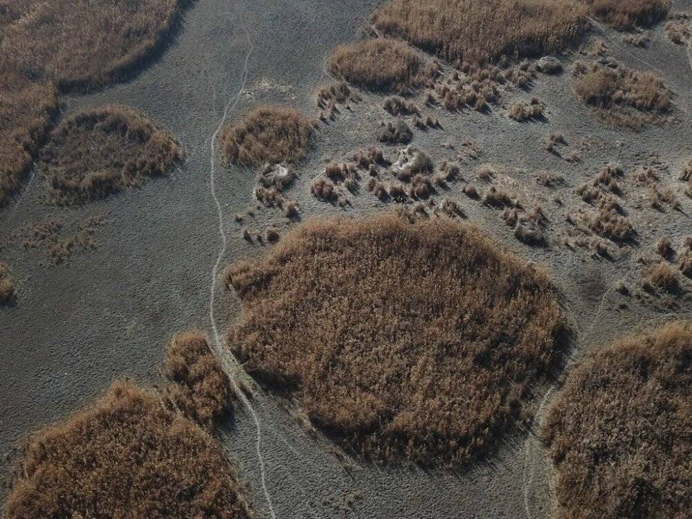 Sazlık alanda mahsur kalan kişi AFAD tarafından kurtarıldı