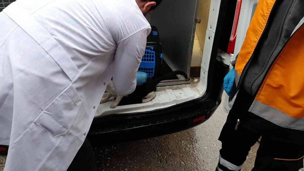 2 mahalle karantinaya alındı, aşılamalar başladı