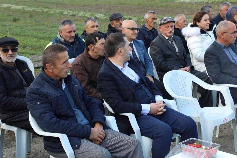 Karadeniz’in ilk ‘sumak’ bahçeleri kurulacak