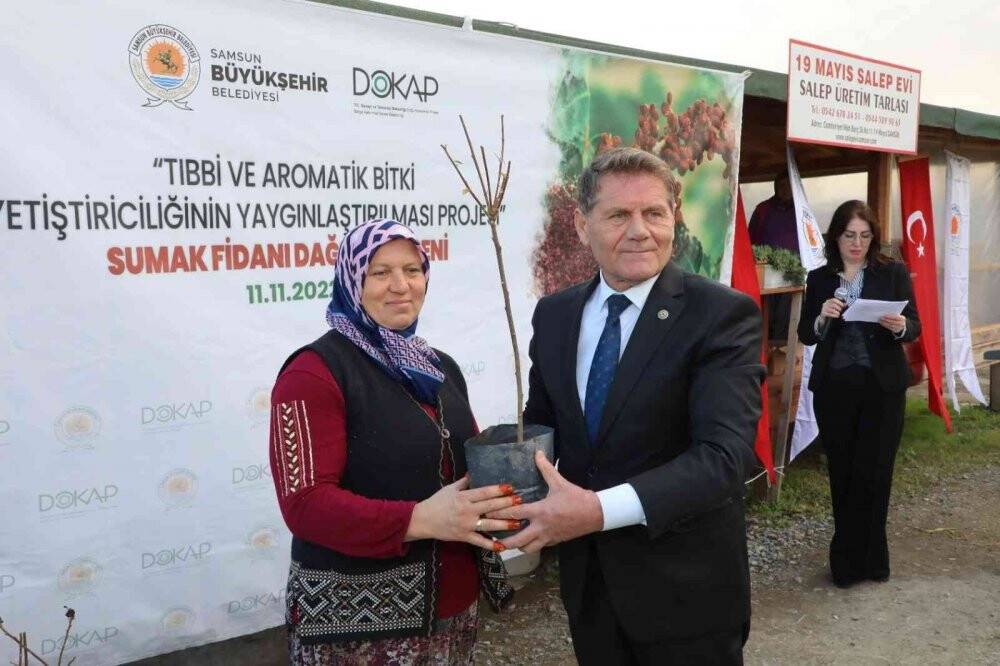 Karadeniz’in ilk ‘sumak’ bahçeleri kurulacak