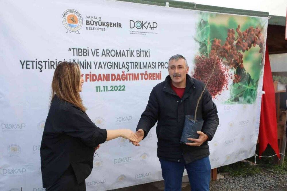 Karadeniz’in ilk ‘sumak’ bahçeleri kurulacak