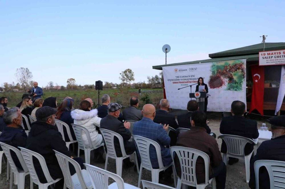 Karadeniz’in ilk ‘sumak’ bahçeleri kurulacak