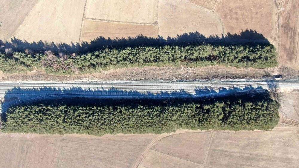 Dikiliş nedenleri görüntüsü kadar dikkat çekici