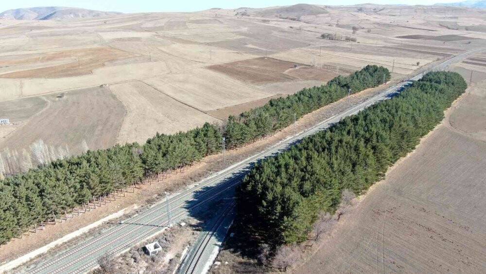 Dikiliş nedenleri görüntüsü kadar dikkat çekici