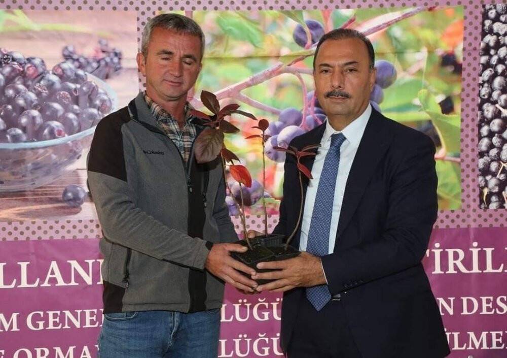 Sağlık iksirinin üretim alanı genişliyor