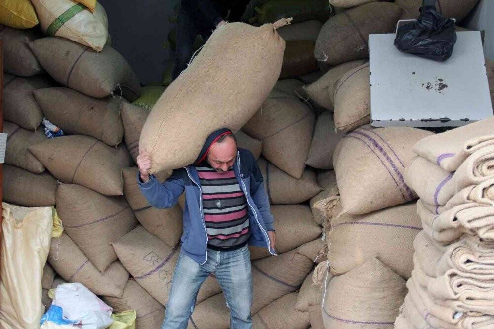 Fındık fiyatları yükselişte