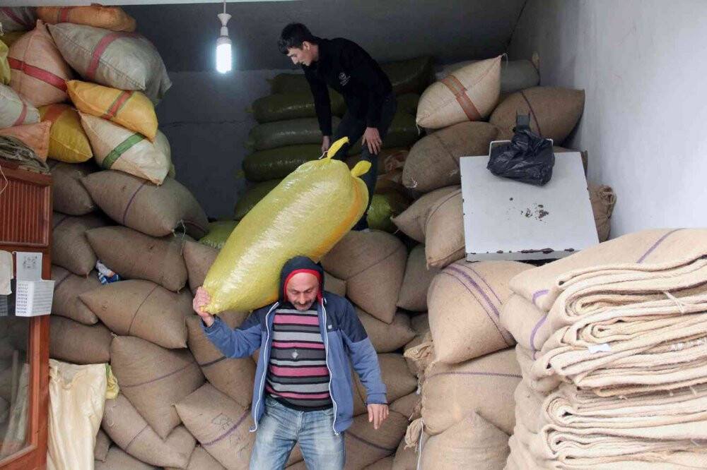 Fındık fiyatları yükselişte